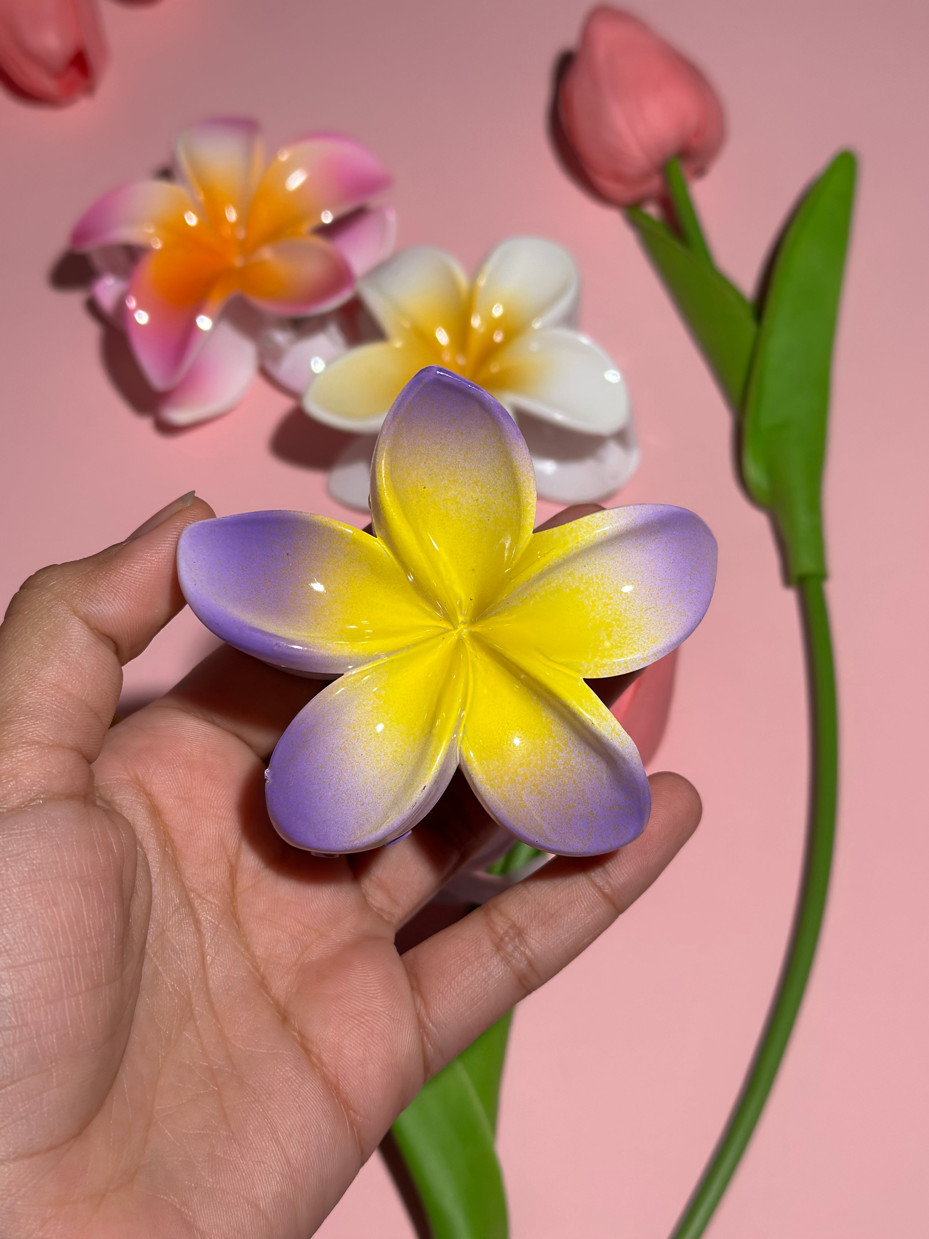 Ganchos para el cabello