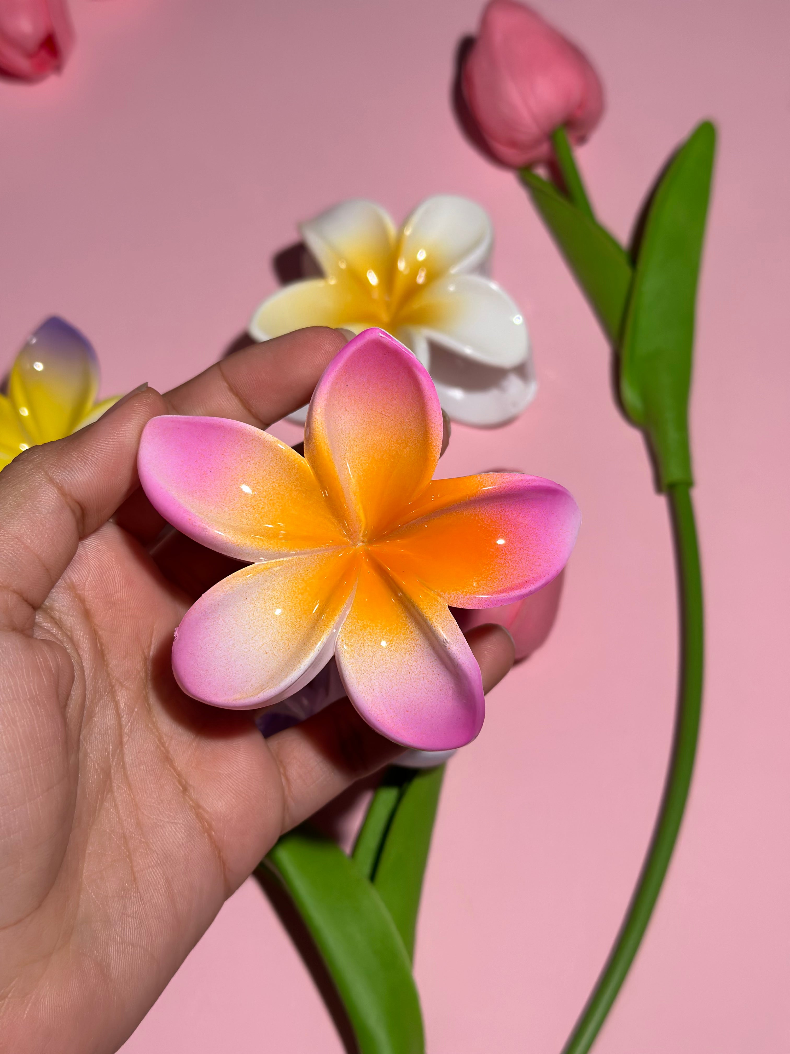 Ganchos para el cabello